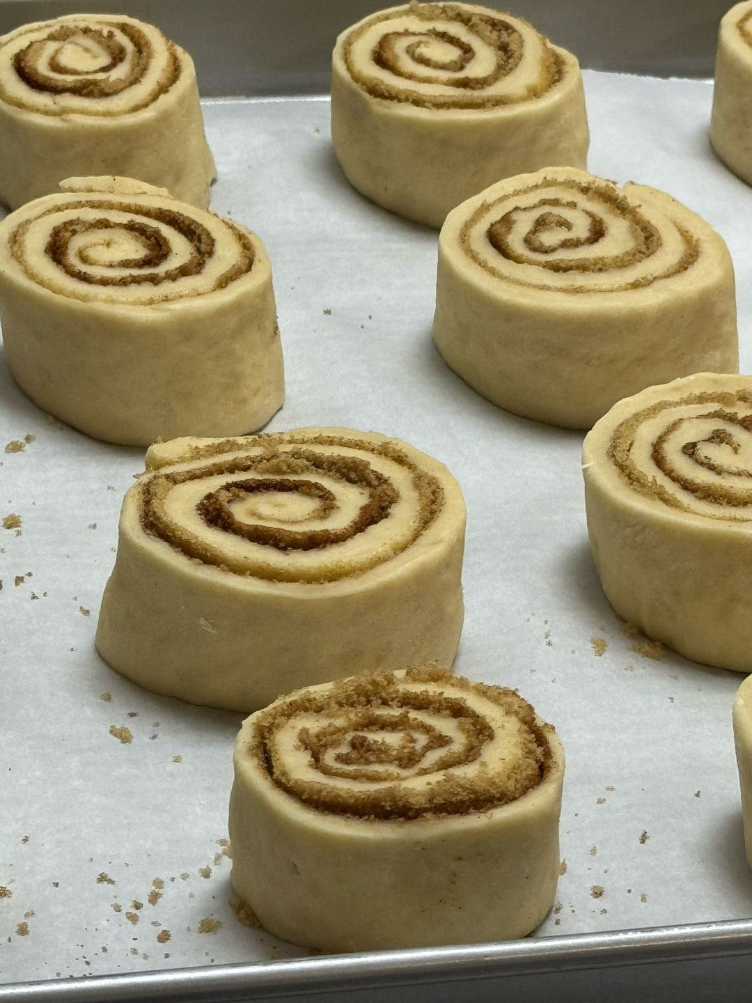 Cinnamon rolls proofing